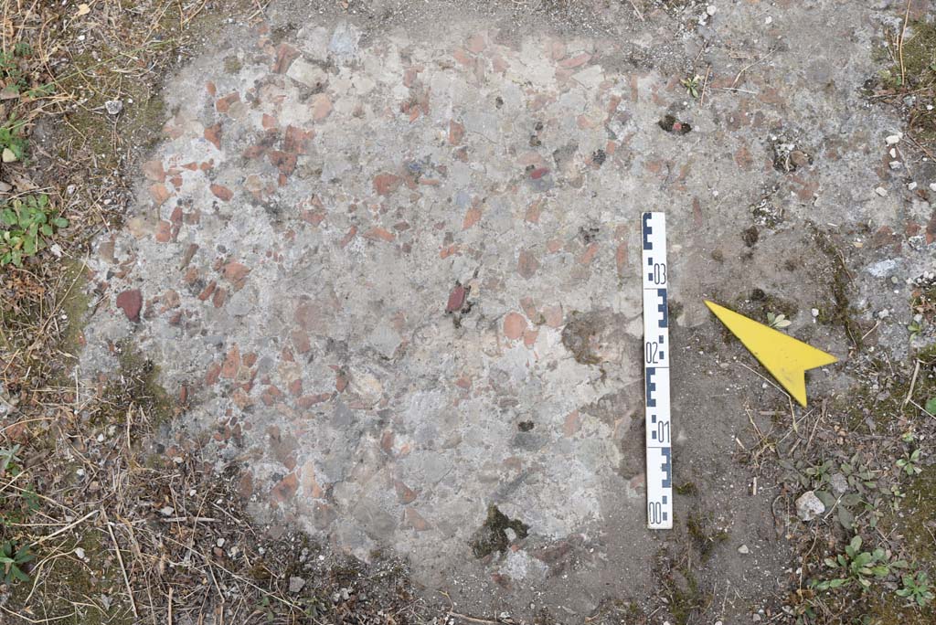 I.4.5 Pompeii. September 2020. Room 20, detail of flooring in cubiculum.
Foto Tobias Busen, ERC Grant 681269 DÉCOR.
