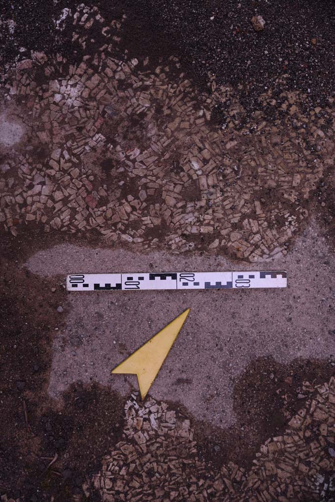 I.4.25 Pompeii. October 2019.
Unnumbered room next to room 30, (? room 66, cubiculum). Detail of flooring.
Foto Tobias Busen, ERC Grant 681269 D�COR.
