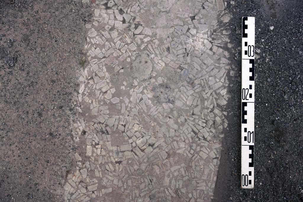 I.4.25 Pompeii. October 2019. Unnumbered room next to room 30, (? room 66, cubiculum). Detail of flooring.
Foto Tobias Busen, ERC Grant 681269 D�COR.
