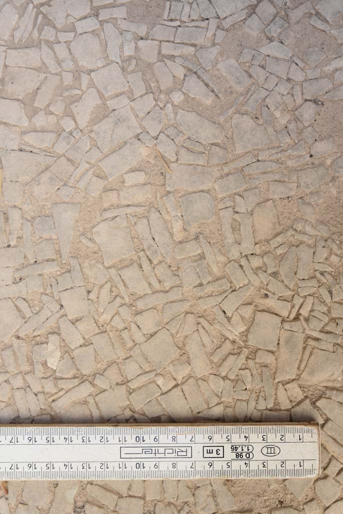 I.4.25 Pompeii. September 2020.
Unnumbered room next to room 30, (? room 66, cubiculum). Detail of flooring.
Foto Tobias Busen, ERC Grant 681269 D�COR.
