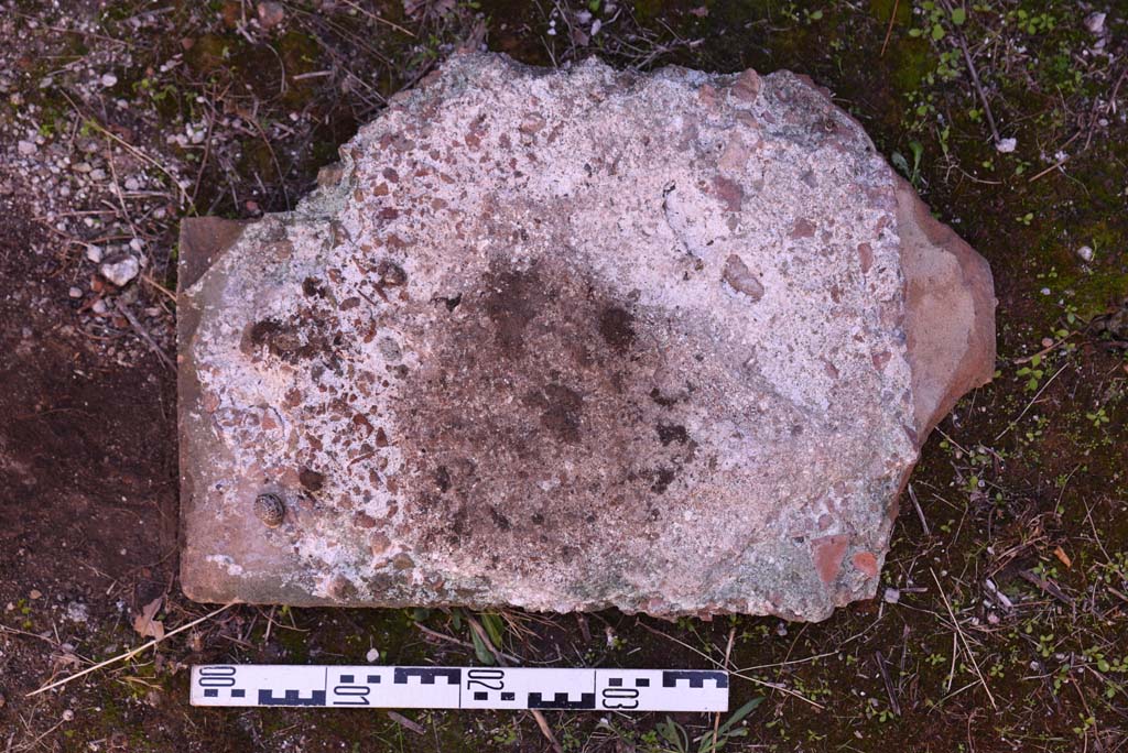 I.4.25/I.4.5 Pompeii. October 2019. Tepidarium 40, detail of terracotta slab in south-east corner.
Foto Tobias Busen, ERC Grant 681269 D�COR.
