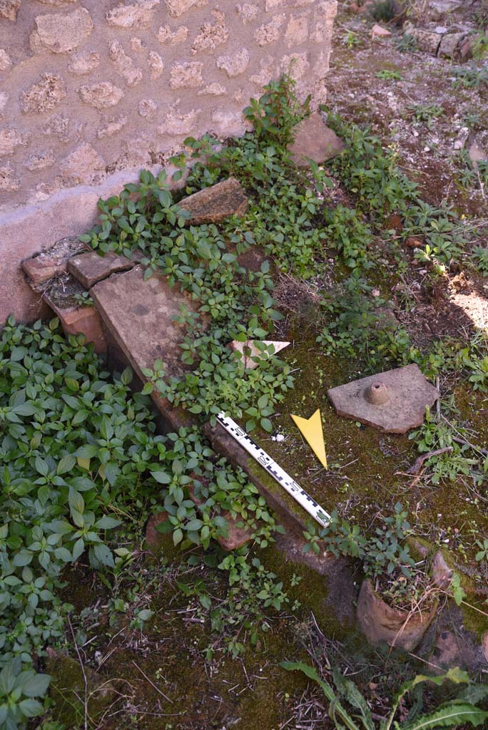 I.4.25/I.4.5 Pompeii. October 2019. Calidarium 41, detail from near south wall.
Foto Tobias Busen, ERC Grant 681269 D�COR.

