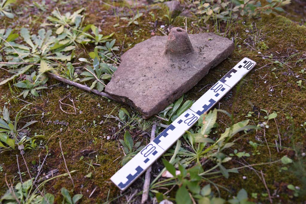 I.4.25/I.4.5 Pompeii. October 2019. Calidarium 41, detail of �Tegula Mammata�.
Foto Tobias Busen, ERC Grant 681269 D�COR.
