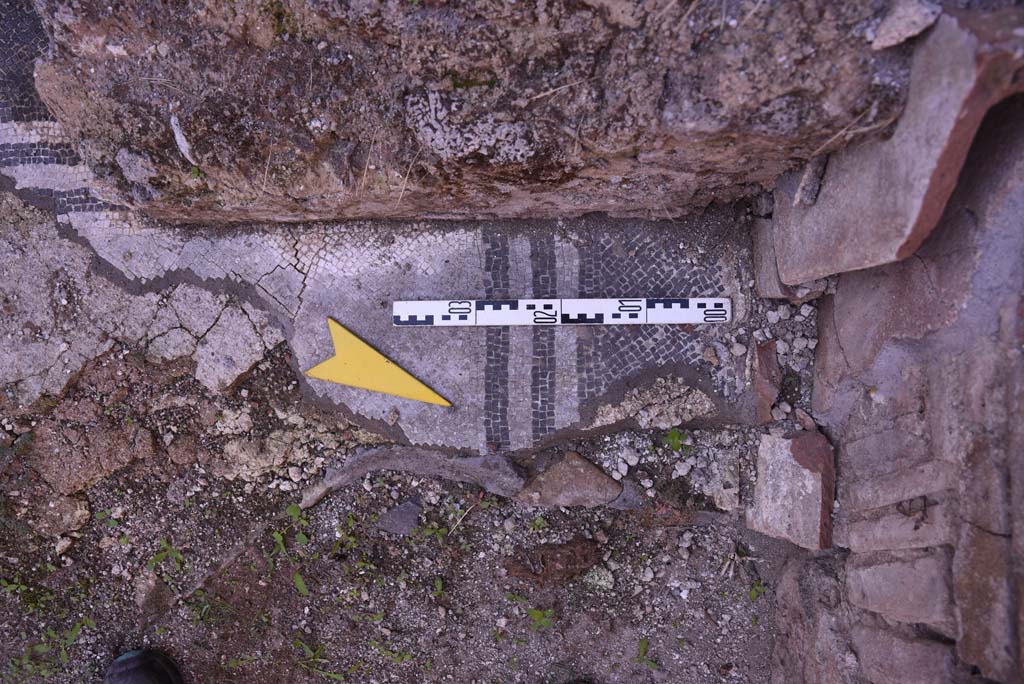 I.4.25/I.4.5 Pompeii. October 2019. Calidarium 41, detail of mosaic floor.
Foto Tobias Busen, ERC Grant 681269 D�COR.
