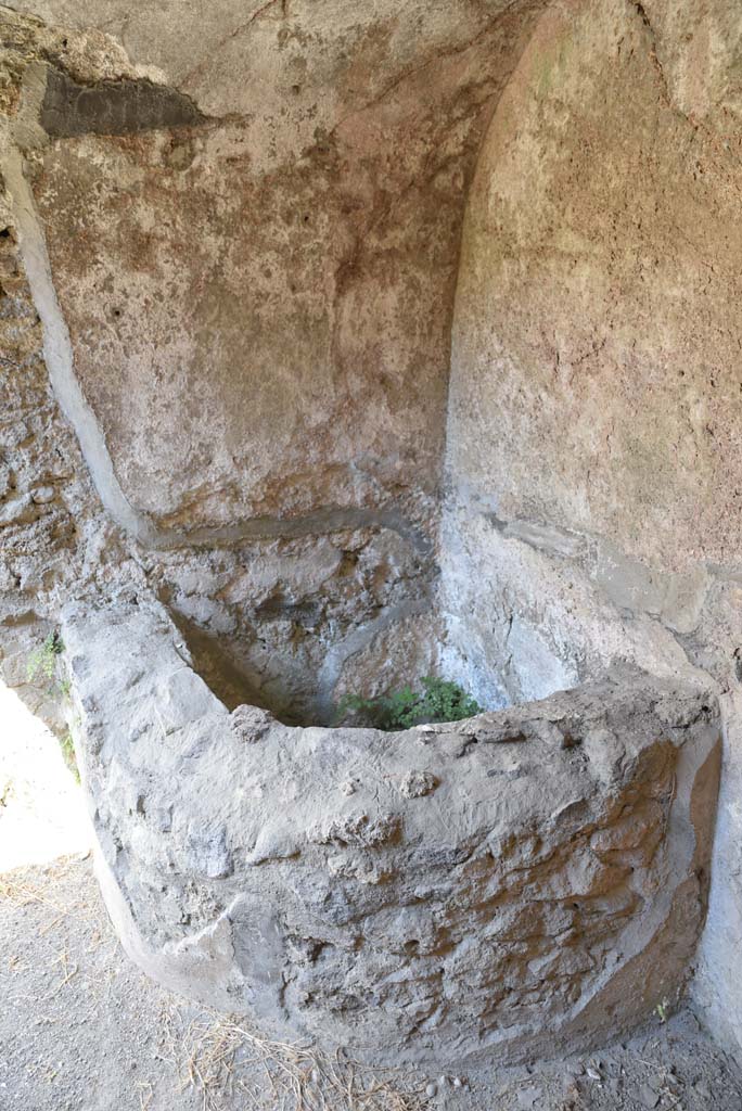 I.4.25/I.4.5 Pompeii. September 2020. 
Unnumbered corridor/room, basin/vat in vaulted area at east end of corridor with steps.
Foto Tobias Busen, ERC Grant 681269 D�COR.

