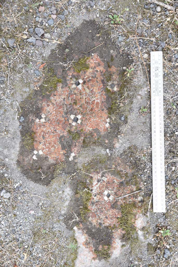 I.4.25 Pompeii. September 2020. Upper Peristyle 56, detail of cleaned flooring.
Foto Tobias Busen, ERC Grant 681269 DÉCOR