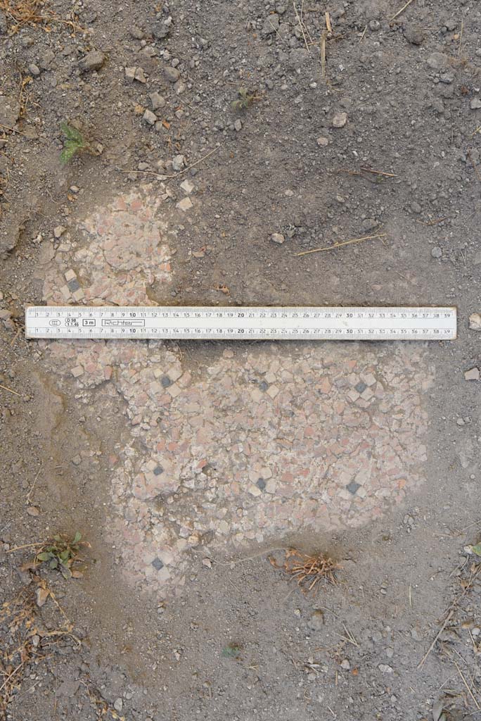 I.4.25 Pompeii. September 2020. Upper Peristyle 56, flooring.
Foto Tobias Busen, ERC Grant 681269 DÉCOR