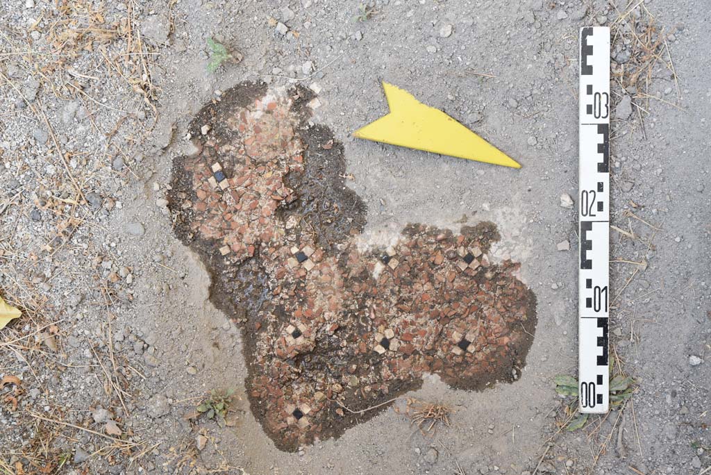 I.4.25 Pompeii. September 2020. Upper Peristyle 56, cleaned flooring.
Foto Tobias Busen, ERC Grant 681269 DÉCOR