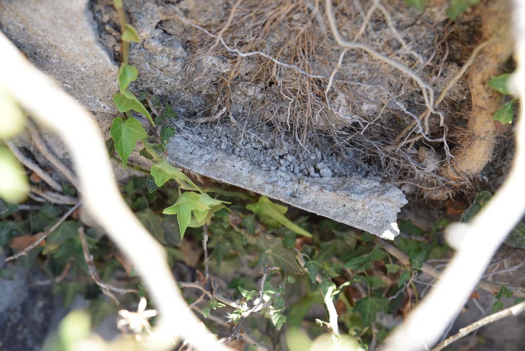 I.4.25 Pompeii. September 2020. Upper Peristyle 56/Middle Peristyle 17, detail of plastered retaining wall.
Foto Tobias Busen, ERC Grant 681269 DÉCOR.
