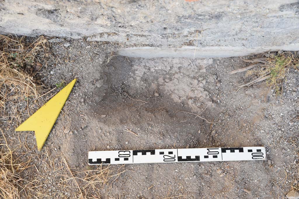 I.4.25 Pompeii. September 2020. Upper Peristyle 56, detail from lower north wall/floor.
Foto Tobias Busen, ERC Grant 681269 DÉCOR