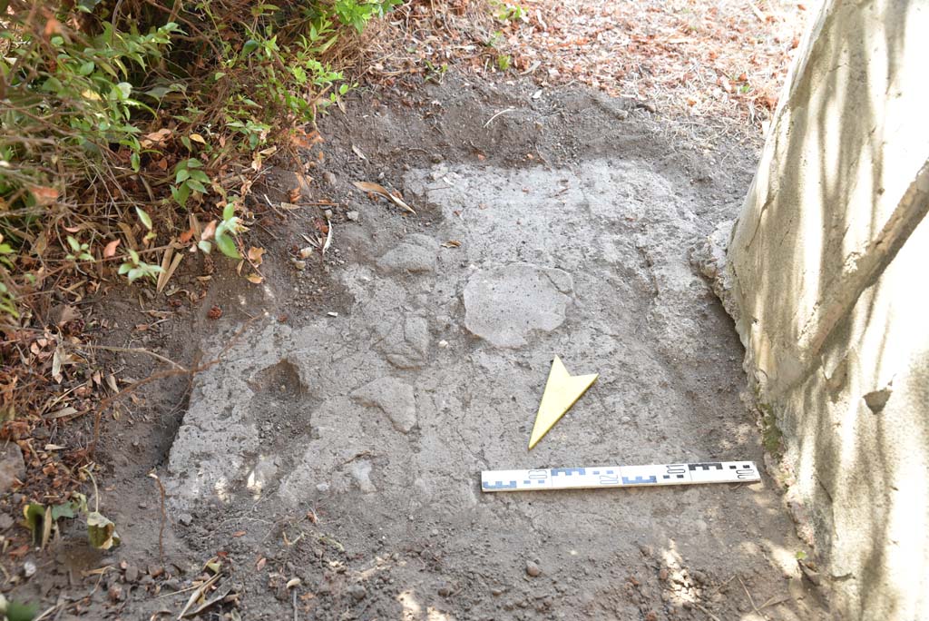 I.4.25 Pompeii. September 2020. Upper Peristyle 56, detail from east of column in north-west corner, looking south.
Foto Tobias Busen, ERC Grant 681269 DÉCOR