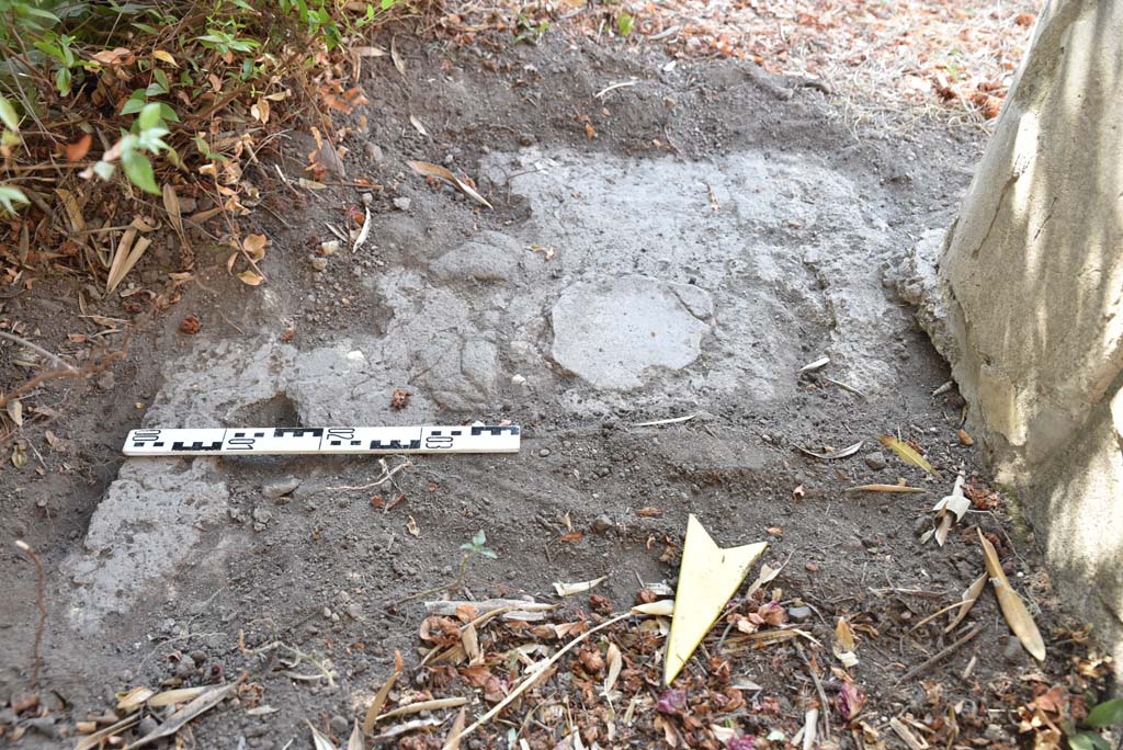 I.4.25 Pompeii. September 2020. Upper Peristyle 56, detail from east of column in north-west corner, looking south.
Foto Tobias Busen, ERC Grant 681269 DÉCOR