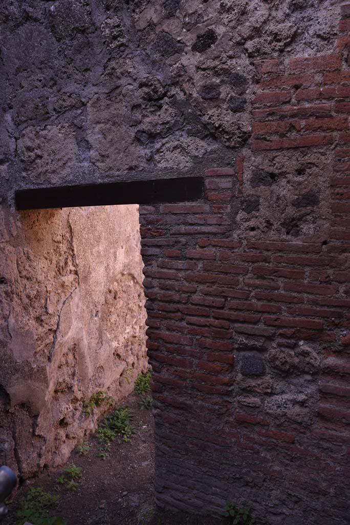 I.4.28 Pompeii. October 2019. Room 65, detail from north wall on east side of doorway.
Foto Tobias Busen, ERC Grant 681269 D�COR.


