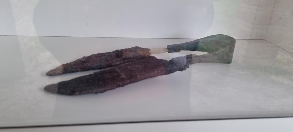 I.5.2 Pompeii. December 2023.
Shears, on display in the tannery, with iron blades and bronze spring, found in room 43 of I.10.16, House of Menander. Photo courtesy of Miriam Colomer.