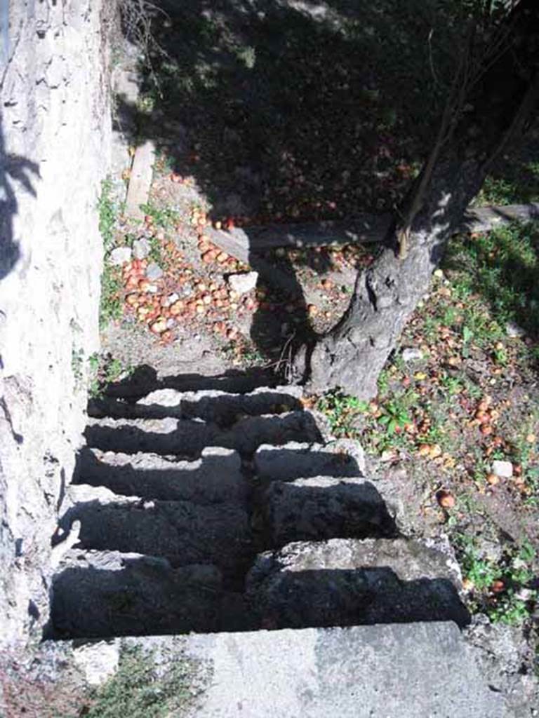I.5.2 Pompeii. September 2010. 207 Stairs leading down to open area, from south side of peristyle garden. Looking east. Photo courtesy of Drew Baker.
According to Jashemski, this was a large open area from which previous construction had been cleared. It was excavated in 1873-4.
Five doors in the south wall leading to the pomerium had been blocked up. Viola suggested that the garden was used for drying the leather in the sun. Tatiana Warscher believed the site was used as a kitchen garden.
See Jashemski, W. F., 1993. The Gardens of Pompeii, Volume II: Appendices. New York: Caratzas. (p.33)
Viola, �Scavi�, p.15
Warscher, �Codex�
