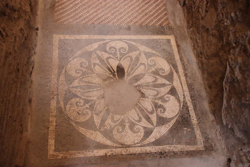 I.6.2 Pompeii. September 2019. Detail
Looking east across mosaic flooring in doorway of anteroom, apodyterium or changing room.
Photo courtesy of Klaus Heese.