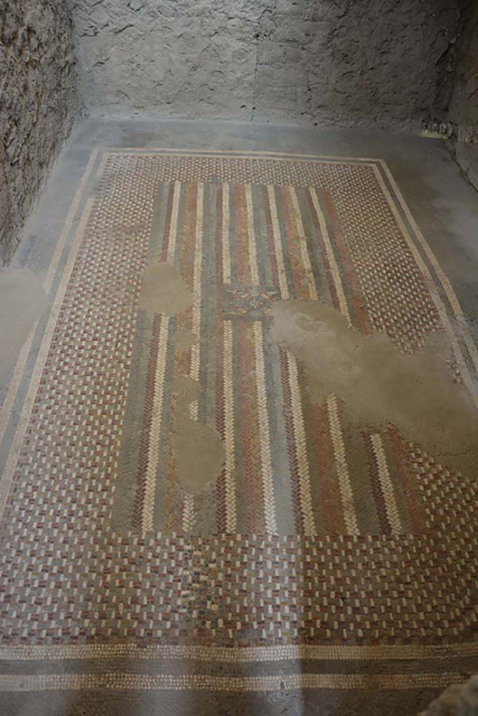 I.6.2 Pompeii. September 2019. Floor “carpet” mosaic in anteroom, apodyterium or changing room.
Foto Annette Haug, ERC Grant 681269 DÉCOR.