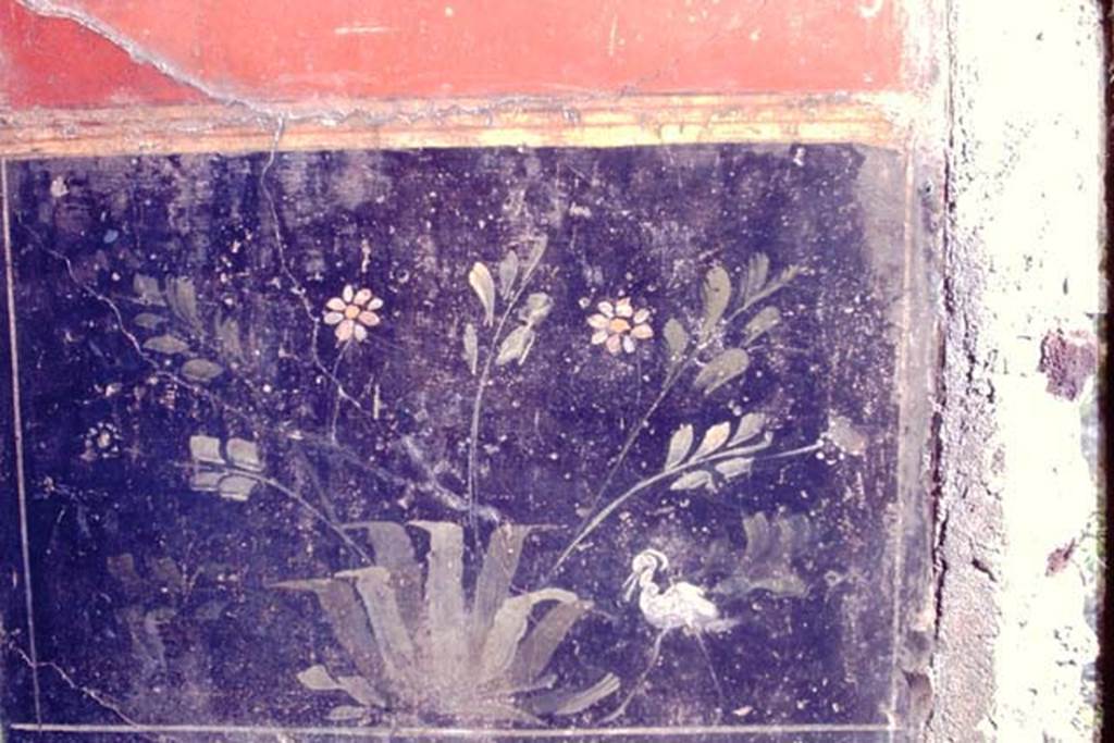 I.6.4 Pompeii. 1968. Room 5, detail of black zoccolo with painted plant and bird on west wall in south-west corner.
Photo by Stanley A. Jashemski.
Source: The Wilhelmina and Stanley A. Jashemski archive in the University of Maryland Library, Special Collections (See collection page) and made available under the Creative Commons Attribution-Non Commercial License v.4. See Licence and use details.
J68f0461