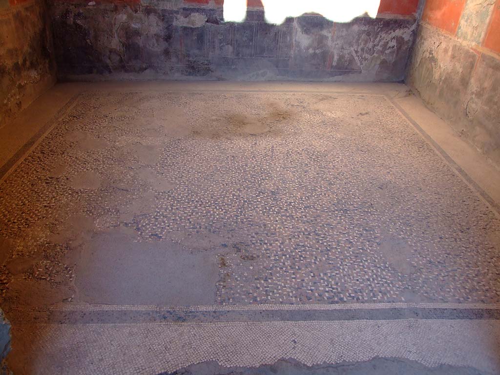 I.6.4 Pompeii. March 2009. Room 5, mosaic floor.