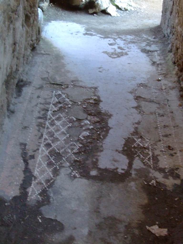 I.6.4 Pompeii. March 2009. Room 7. Remains of mosaic floor.