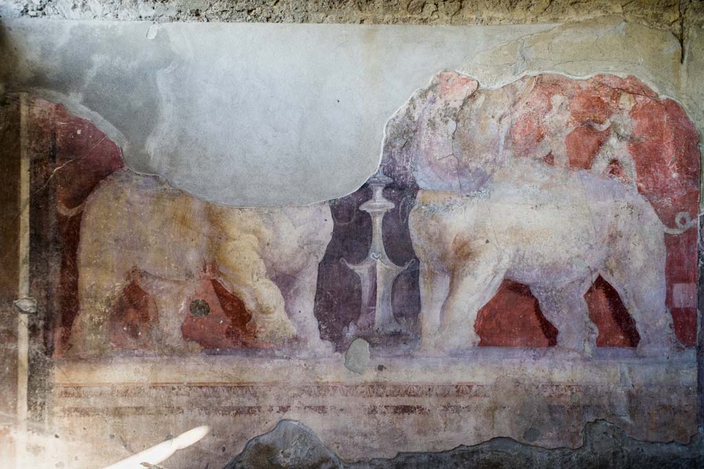 I.6.4 Pompeii. December 2021. Room 11, east wall, wall painting of elephants. Photo courtesy of Johannes Eber.