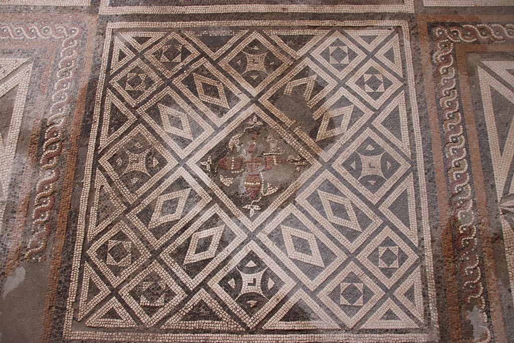 I.6.4 Pompeii. October 2024. Triclinium 11, detail from mosaic floor. Photo courtesy of Klaus Heese..