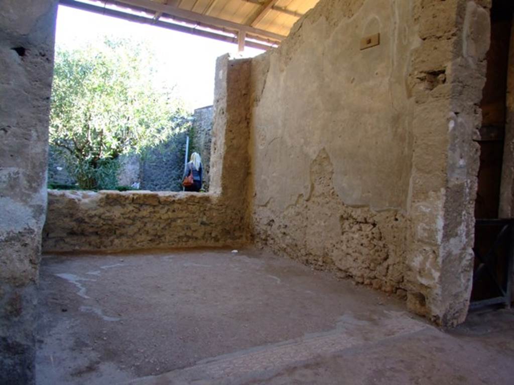 I.6.4 Pompeii. March 2009. Room 15, Tablinum. West wall. Looking south.