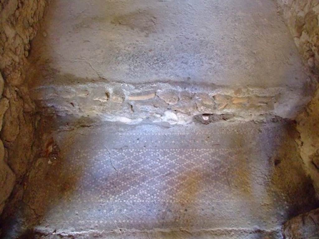 I.6.4 Pompeii. March 2009. Room 16, Sacellum. Mosaic floor.