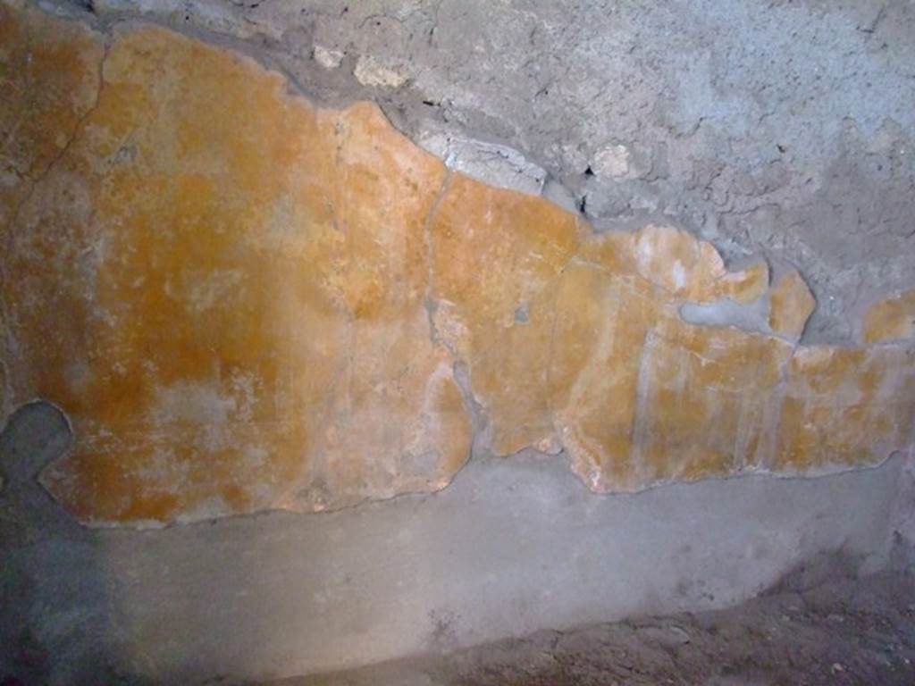 I.6.4 Pompeii. March 2009. Room 17, West wall.