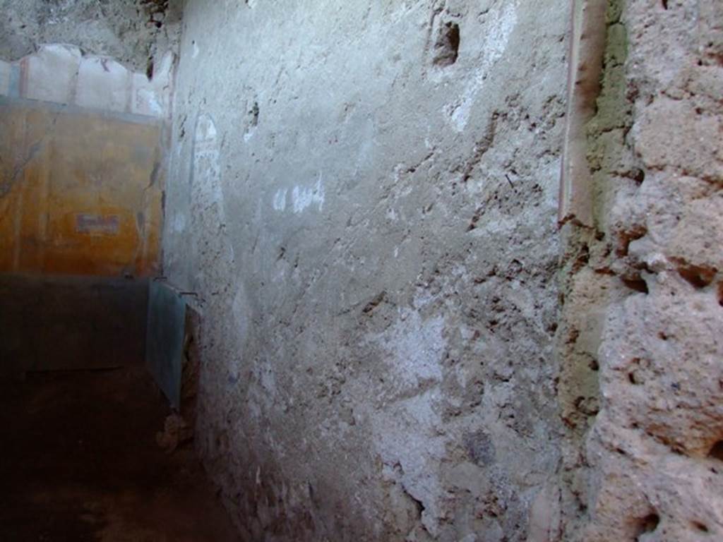 I.6.4 Pompeii. March 2009. Room 17, East wall.
