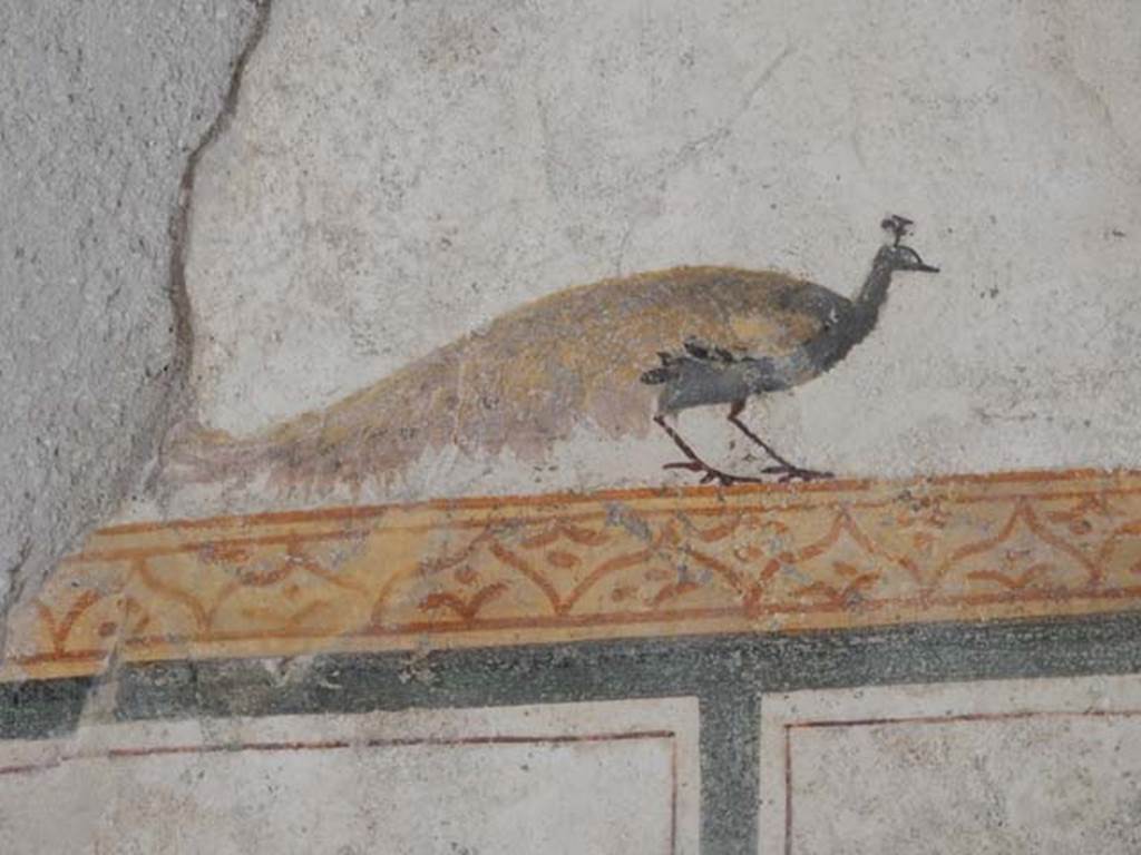 I.6.7 Pompeii. May 2016. Detail of peacock from south end of west wall. Photo courtesy of Buzz Ferebee.