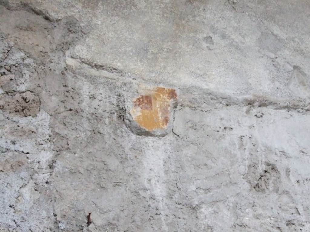 I.6.10 Pompeii. December 2007. South wall of rear room with remains of painted plaster.