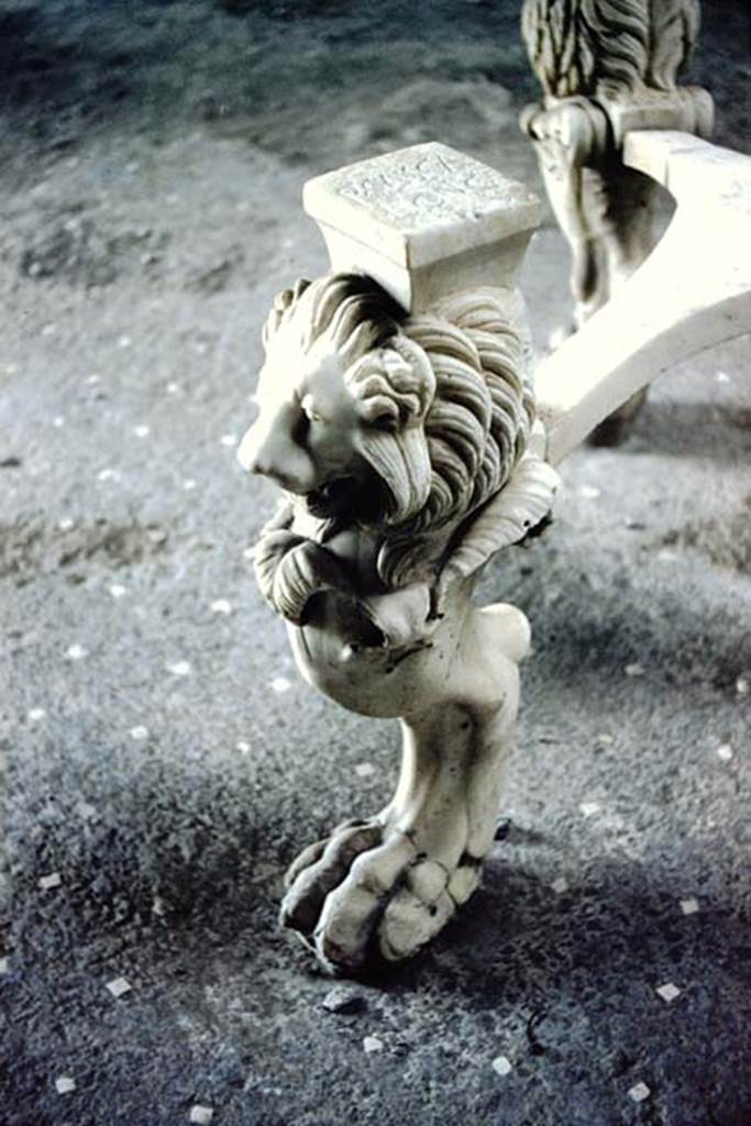 I.6.11 Pompeii. 1959. Details from marble tripod table leg with lion’s head and paw. Photo by Stanley A. Jashemski.
Source: The Wilhelmina and Stanley A. Jashemski archive in the University of Maryland Library, Special Collections (See collection page) and made available under the Creative Commons Attribution-Non Commercial License v.4. See Licence and use details.
J59f0351