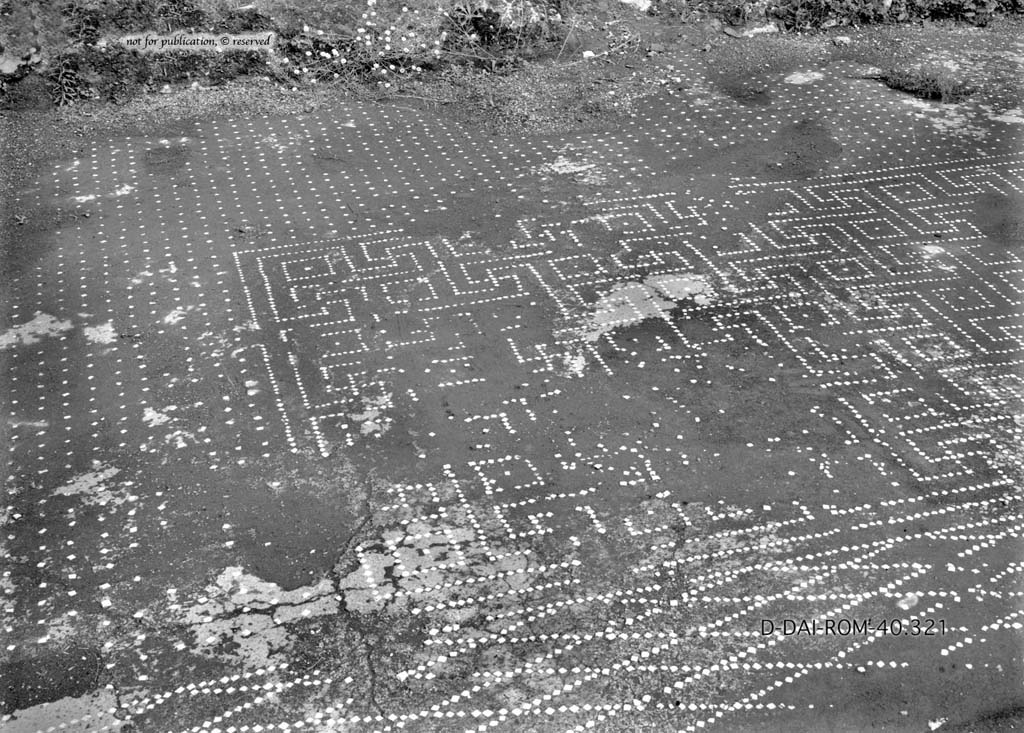 I.6.13 Pompeii. c.1930. Flooring in tablinum 6.  
DAIR 40.321. Photo � Deutsches Arch�ologisches Institut, Abteilung Rom, Arkiv.
See Pernice, E.  1938. Pavimente und Fig�rliche Mosaiken: Die Hellenistische Kunst in Pompeji, Band VI. Berlin: de Gruyter, (p.42, and tav. 11.4 above.)

