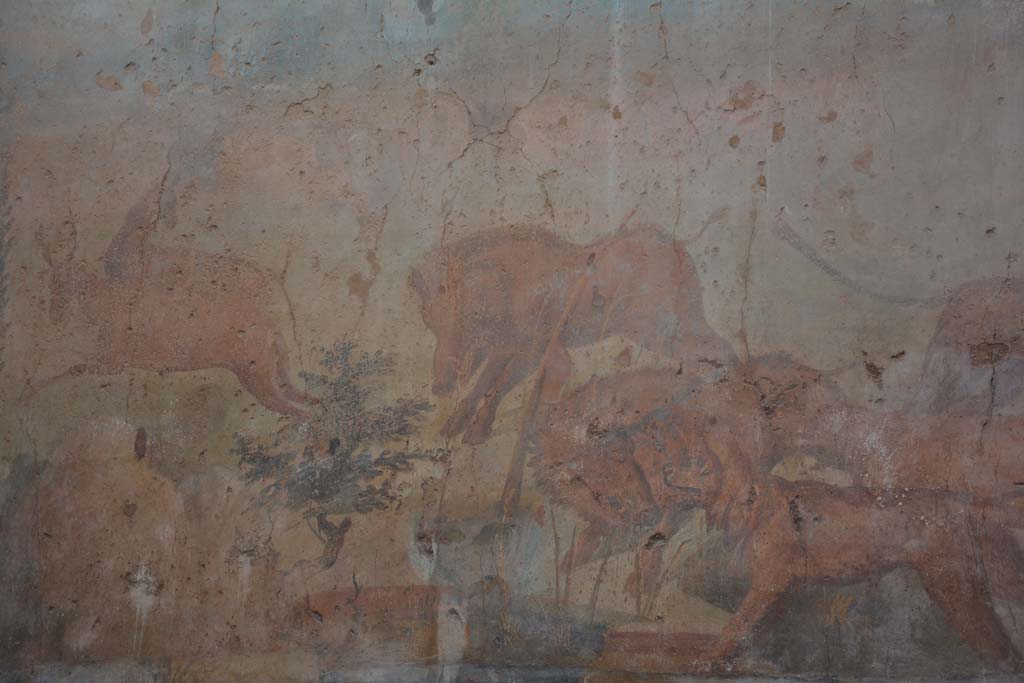 I.6.15 Pompeii. March 2019. Room 9, detail from hunt painting on north wall.
Foto Annette Haug, ERC Grant 681269 DÉCOR