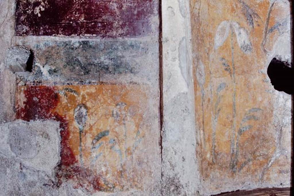 I.6.16 Pompeii, 1968. West side of north wall.  Photo by Stanley A. Jashemski.
Source: The Wilhelmina and Stanley A. Jashemski archive in the University of Maryland Library, Special Collections (See collection page) and made available under the Creative Commons Attribution-Non Commercial License v.4. See Licence and use details.
J68f0623
