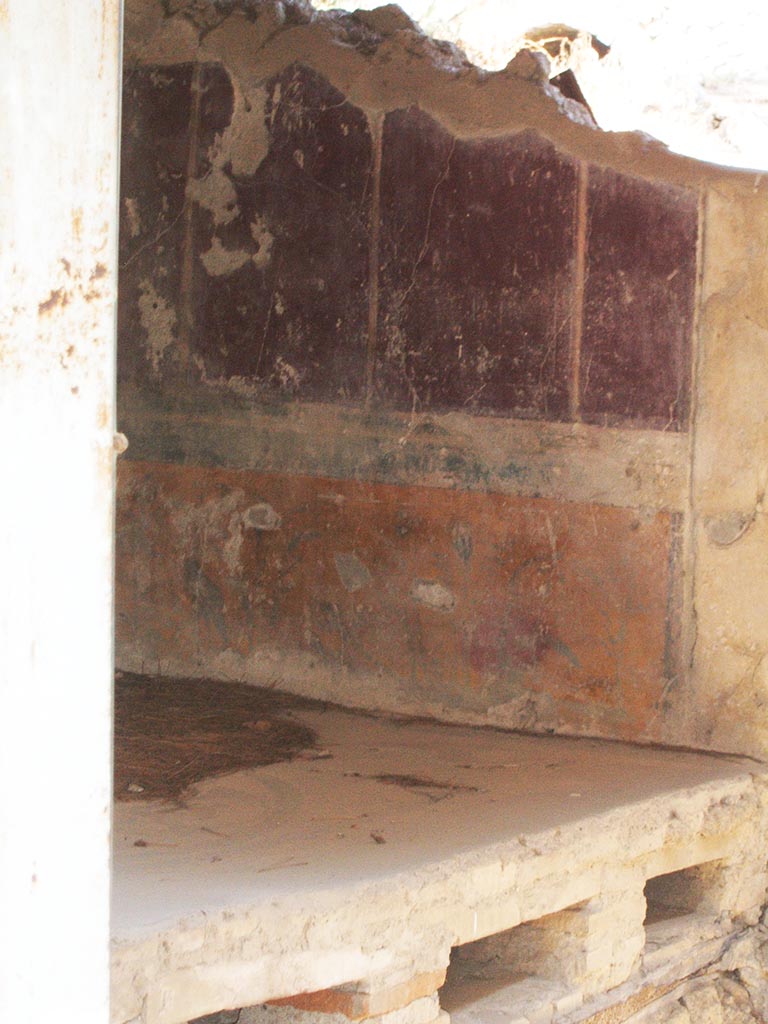 I.6.16 Pompeii. May 2005. View from rear entrance, looking towards east wall. 