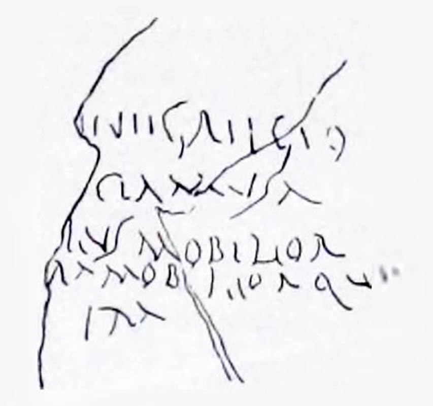 I.7.2, Pompeii. Graffiti found on east wall of the under-stairs room, written on the cocciopesto plaster. CIL IV 8136.
This graffito was missing on its left side where the plaster had completely fallen from the wall. 
In NdS 1927 Maiuri interpreted this as
...n egregio /...cla musa / ...lus mobilior / ...ula mobiliorque / ...ira
See Notizie degli Scavi di Antichit�, 1927, (p. 13, n. 4).
