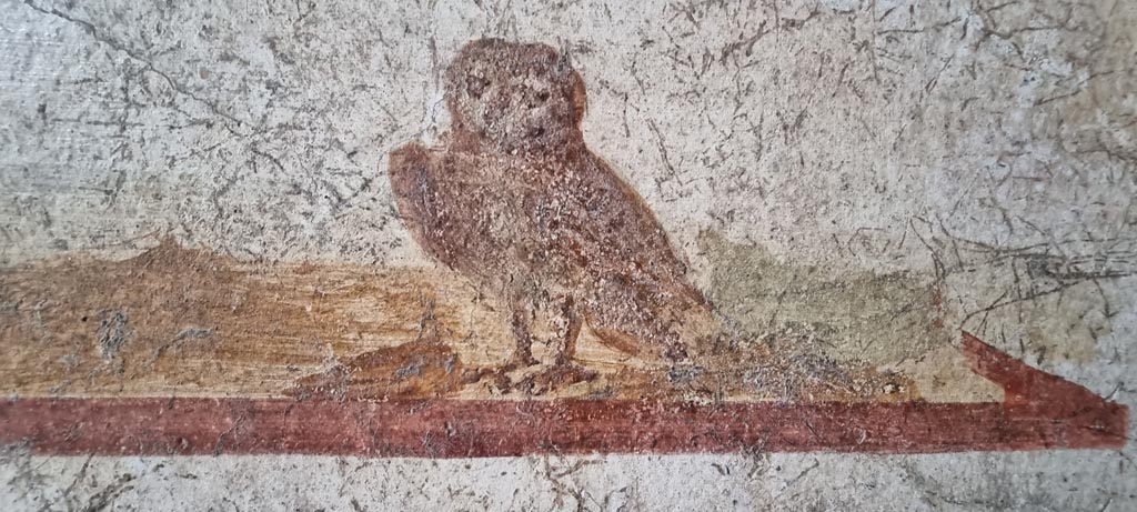 I.7.11 Pompeii. December 2023. 
Detail of owl, one of the attributes of Minerva/Athena in centre panel of north wall. Photo courtesy of Miriam Colomer.
