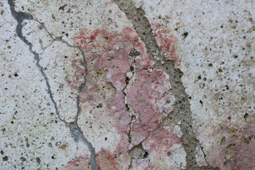 I.7.11 Pompeii. December 2018. Detail of the head of the remaining Lar on the right of the Genius. Photo courtesy of Aude Durand.