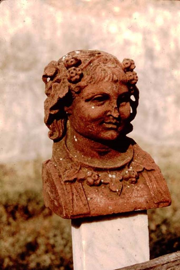 I.7.11 Pompeii. 1964. Marble herm made of red marble on top of post supporting trellis fence, (height 0.19m).   Photo by Stanley A. Jashemski. 
Source: The Wilhelmina and Stanley A. Jashemski archive in the University of Maryland Library, Special Collections (See collection page) and made available under the Creative Commons Attribution-Non-Commercial License v.4. See Licence and use details.
J64f0920
See Maiuri, A., 1928. Nuovi Scavi nella Via dell’Abbondanza. Milano: Hoepli. (p.74, fig.40).
