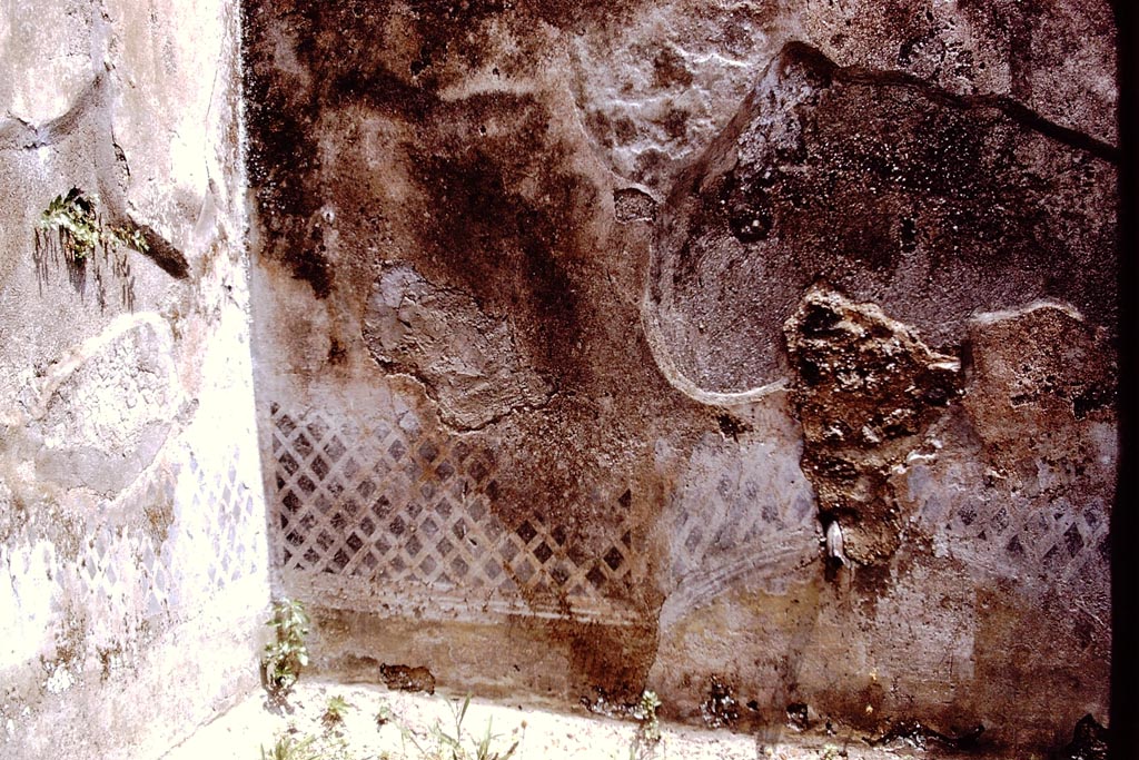 I.7.19 Pompeii. 1972. East wall and north-east corner of small garden area. Photo by Stanley A. Jashemski.
Source: The Wilhelmina and Stanley A. Jashemski archive in the University of Maryland Library, Special Collections (See collection page) and made available under the Creative Commons Attribution-Non-Commercial License v.4. See Licence and use details.
J72f0097