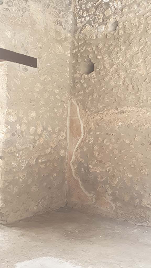 I.8.1 Pompeii. July 2021. Detail of west wall in south-west corner.
Foto Annette Haug, ERC Grant 681269 DÉCOR.

