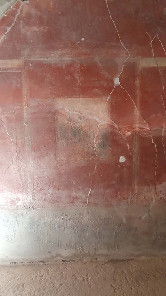 I.8.9 Pompeii. July 2021. Room 3, central panel from west wall with central painting.
Foto Annette Haug, ERC Grant 681269 DÉCOR.