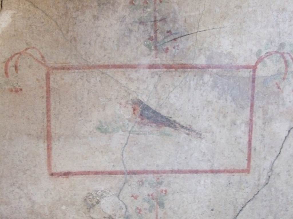 I.8.9 Pompeii. March 2009. Room 4, north wall detail of a painted panel of a bird. 