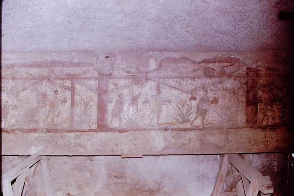 I.8.15 Pompeii. 1961. Painted panel with inscriptions. Now in SAP deposits. 
Photo by Stanley A. Jashemski.
Source: The Wilhelmina and Stanley A. Jashemski archive in the University of Maryland Library, Special Collections (See collection page) and made available under the Creative Commons Attribution-Non Commercial License v.4. See Licence and use details.
J61f0710

According to Epigraphik-Datenbank Clauss/Slaby (See www.manfredclauss.de) the names read [from left to right]

      [left panel]

Fortunatus      [CIL IV, 7309a]

G(aius!) Iuli{a}us
Trophimus      [CIL IV, 7309b]

      [centre panel]

Felix       [CIL IV, 7309c]

G(aius!) Marcius
Fortunatus      [CIL IV, 7309d]

G(aius!) Castricius
Seno      [CIL IV, 7309e]

      [right panel]

D(ecimus) Iul[iu]s
Eunus      [CIL IV, 7309f]

Salvom
venire      [CIL IV, 7309g]
