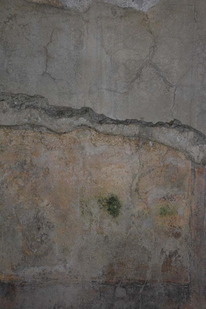 I.8.17 Pompeii. March 2019. Room 9, detail from remaining central painting on east wall.
Foto Annette Haug, ERC Grant 681269 DÉCOR.