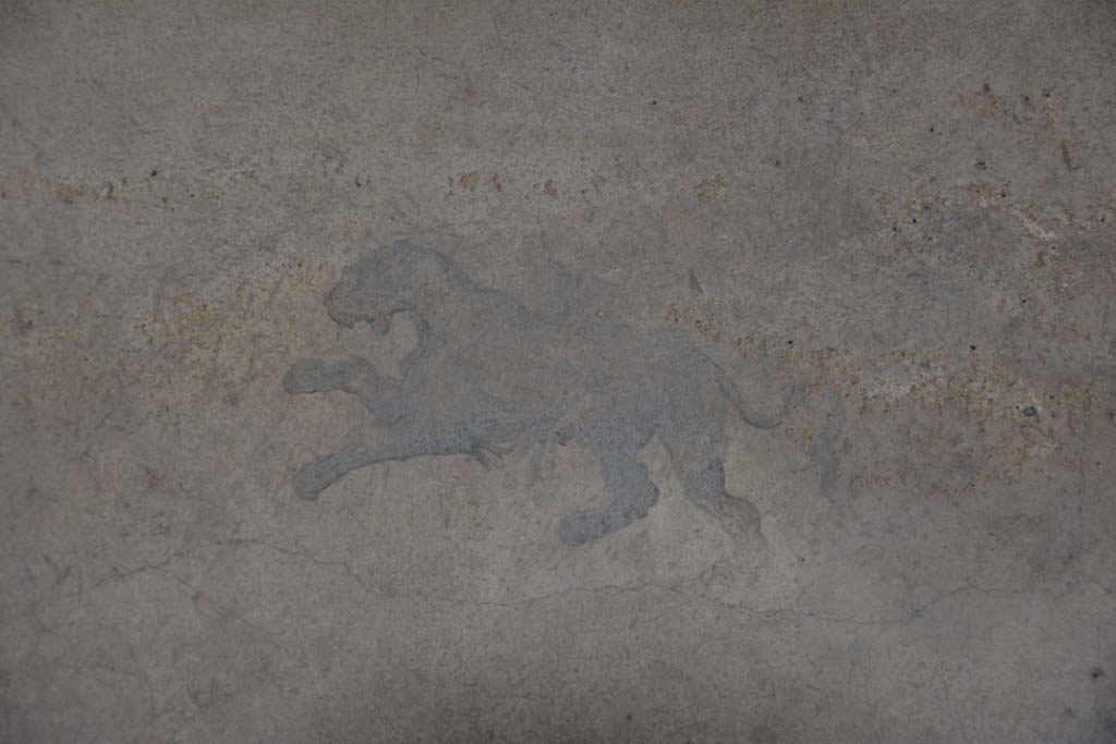 I.8.17 Pompeii. March 2019. Room 14, detail from north wall in north-east corner.
Foto Annette Haug, ERC Grant 681269 DÉCOR.

