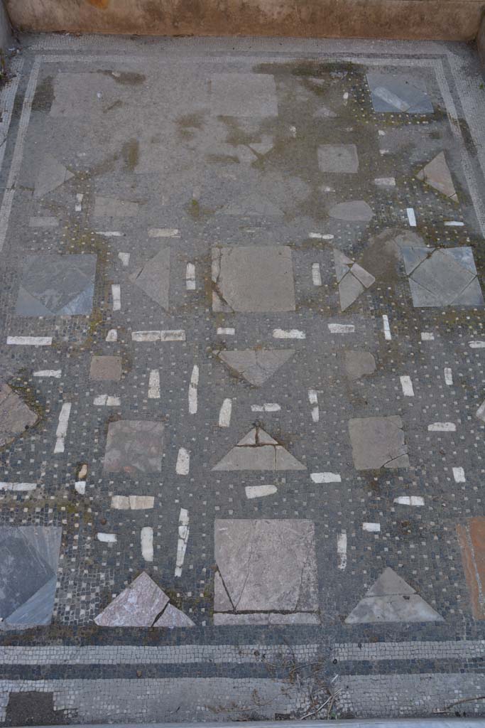 I.9.1 Pompeii. October 2019. Room 2, detail of �floor� of impluvium.
Foto Annette Haug, ERC Grant 681269 D�COR.
The impluvium�s background was of black mosaic with dots of white tesserae, tiles and flakes of polychrome marble, the walls and inner edge were of white marble with a rounded edge-strip. 

