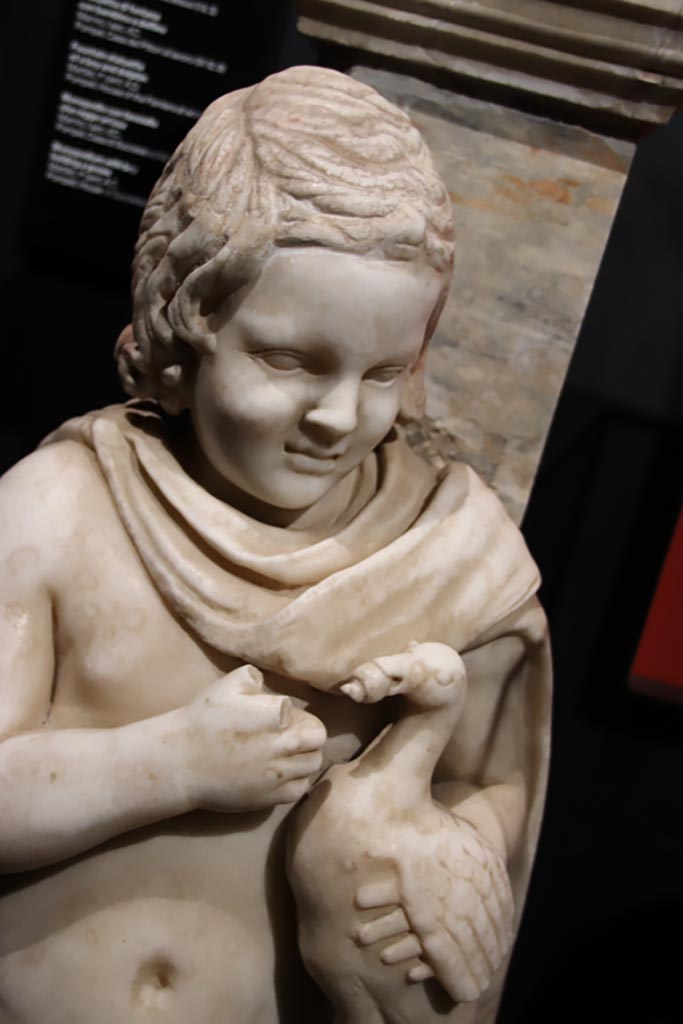 I.9.3 Pompeii. May 2024. 
Room 6, garden area, north portico, detail of statue of small boy with goose.
Photo courtesy of Klaus Heese.
On display in exhibition “L’altra Pompei, vite comuni all’ombra del Vesuvio”.

